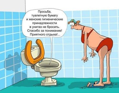 Шутки про туалет