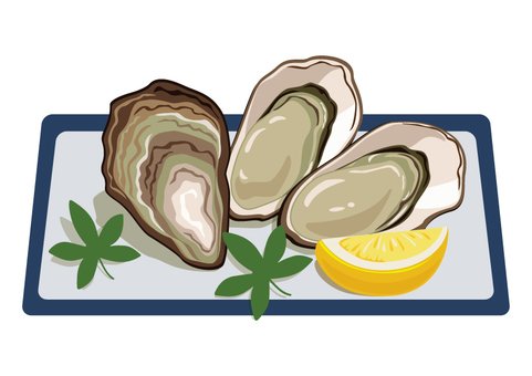 Устрица рисунок