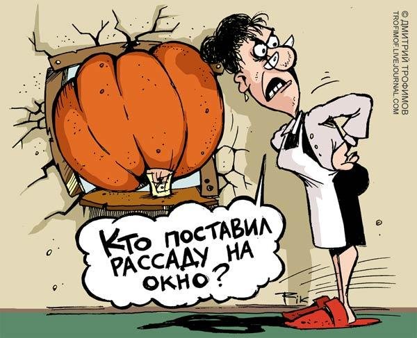 Огород карикатура