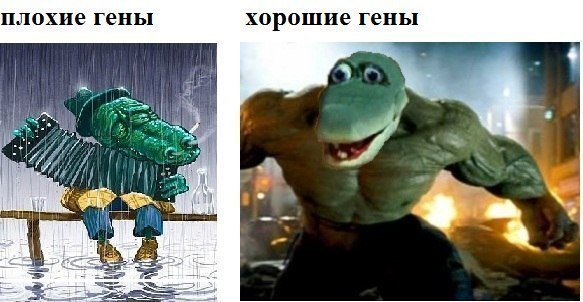 Хорошие гены