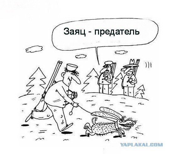 Заяц предатель