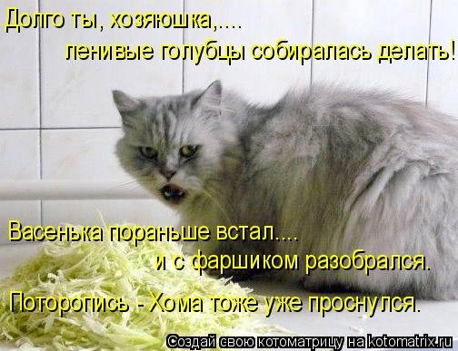 Голубцы прикол