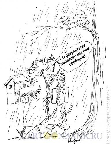 Ревизия карикатура