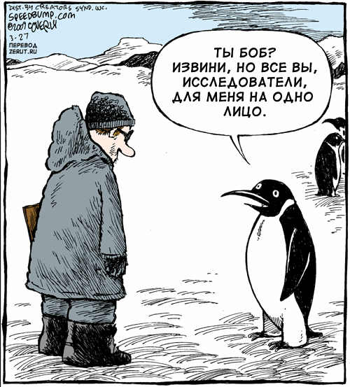 Шутки про Антарктиду