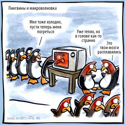 Смешные шутки про пингвинов