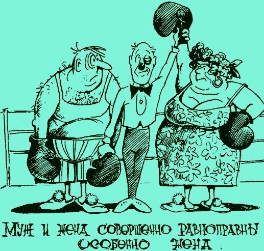 Развод супругов карикатура