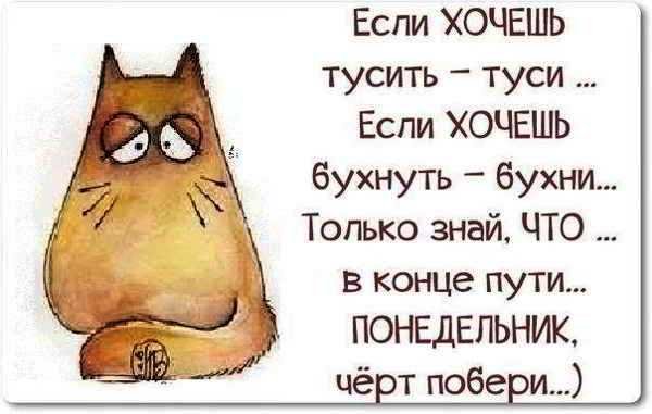 Понедельник приколы