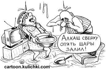 Затопили соседи карикатура