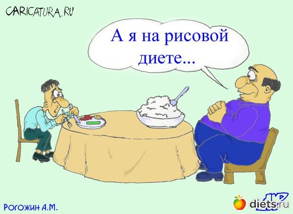 Смешные шутки про диету