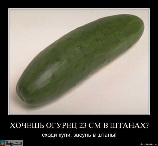 Смешной свежий огурец