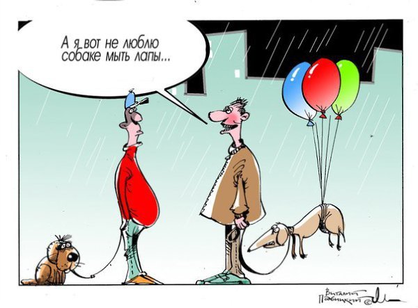 Анекдоты про собак