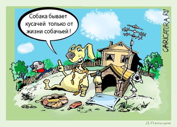 Анекдоты про собак