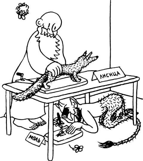 Жан Эффель Сотворение мира