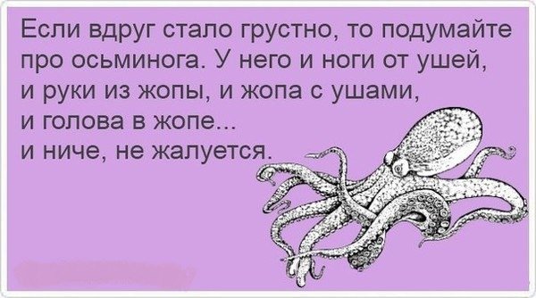 Шуточные открытки