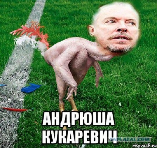 Макаревич петух