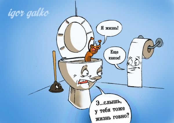 Смешные анекдоты про какашки