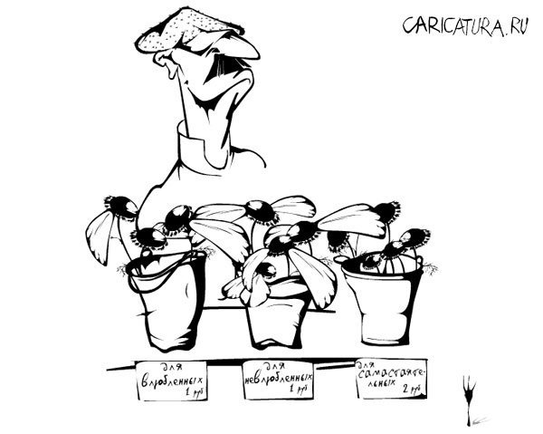 Шарж с ромашками