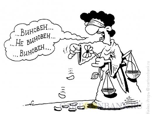 Шутки про ромашки