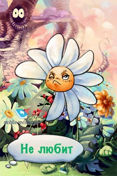 Ромашка юмор