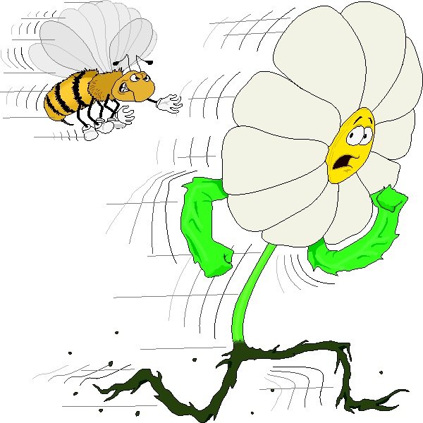 Забавная Ромашка