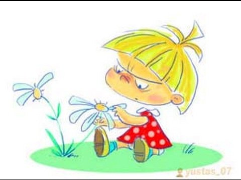 Ромашка символ семьи