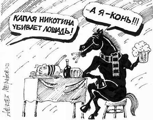 Конный спорт карикатуры