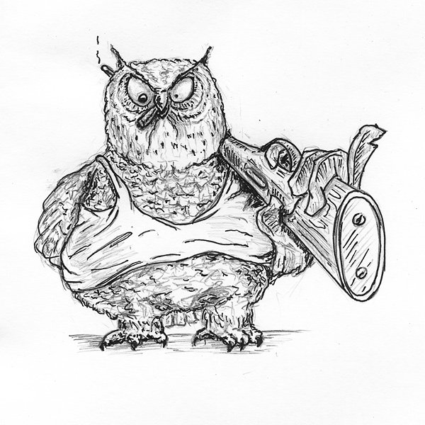 Смешные Совы