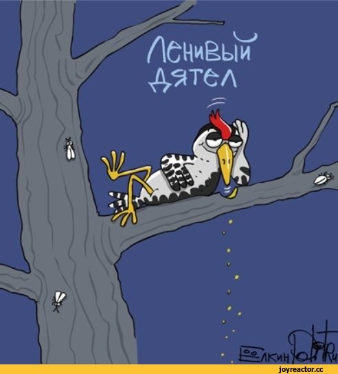 Смешной дятел