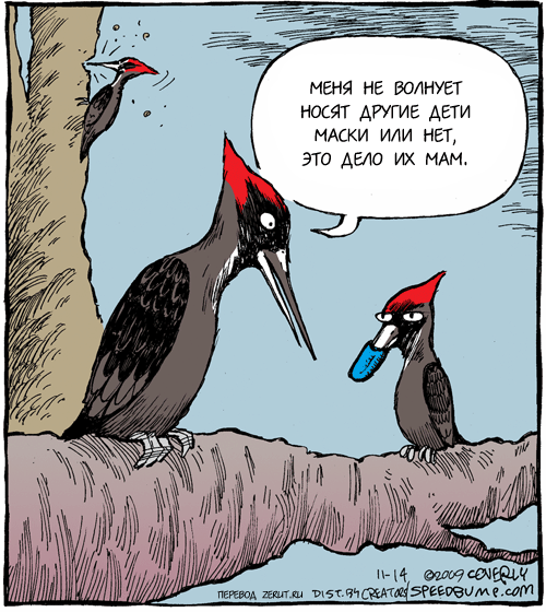 Дятел долбит