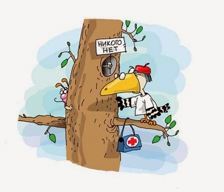 Дятел прикол