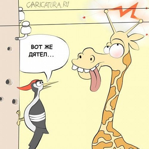 Смешная карикатура дятла
