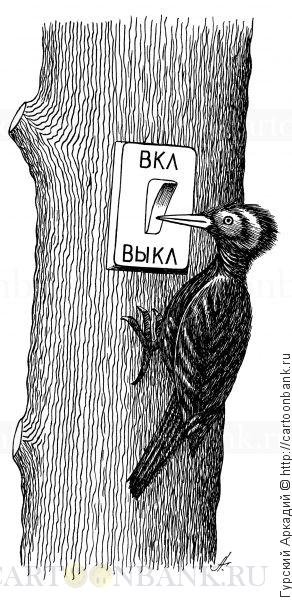 Смешной дятел