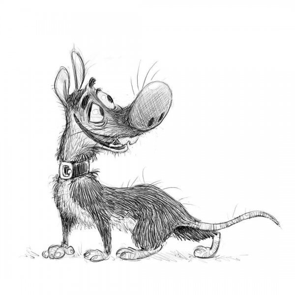 Смешное животное раскраска