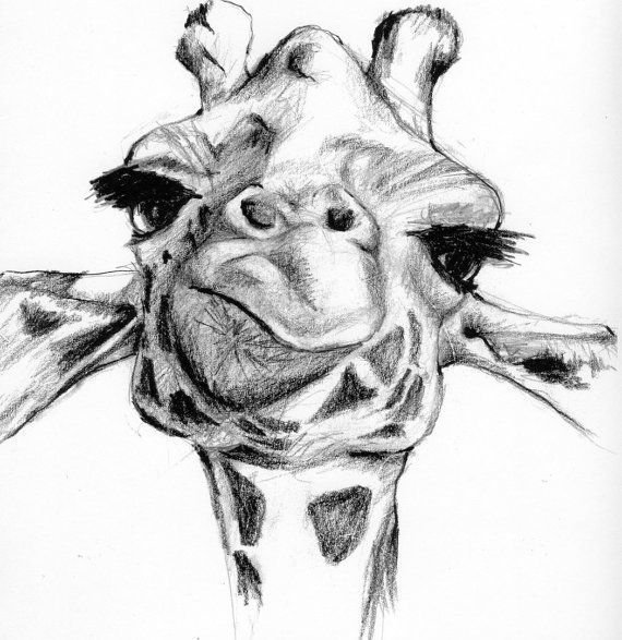 Рисованные коты Марии Ван Брюгген