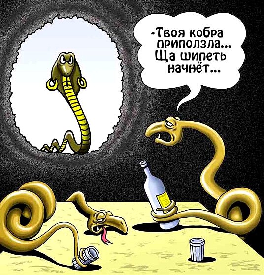 Всемирный день змеи