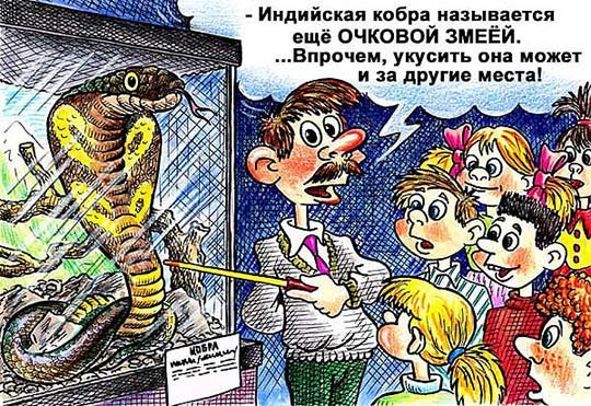 Анекдоты про змей