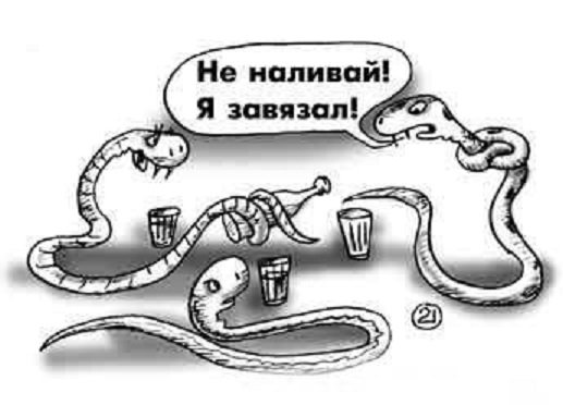 Шутки про змею