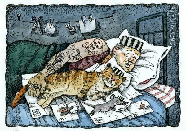 Мишка на севере юмор