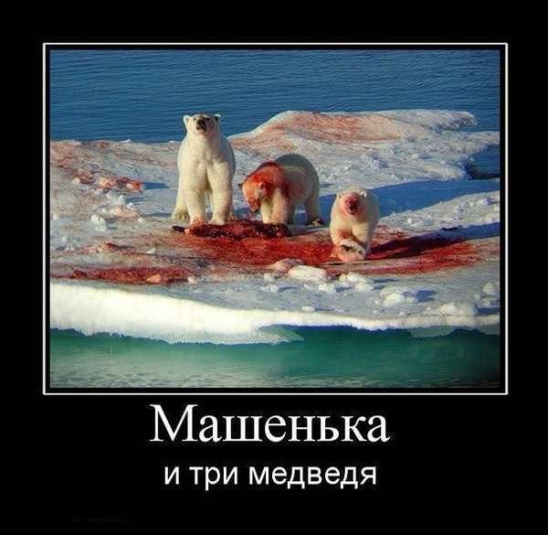 Шутки про медведя