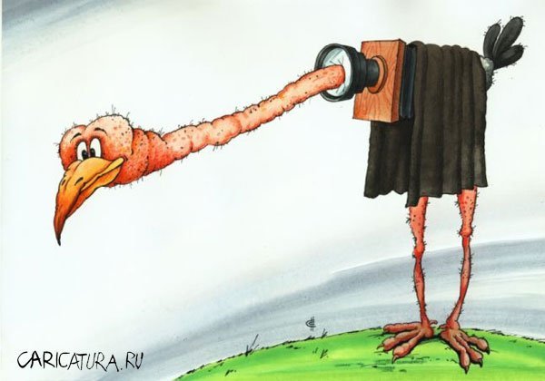 Птичка карикатура