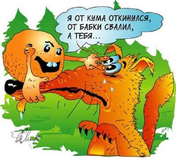 Шутки про лису и колобка