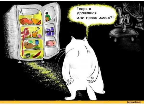 Тварь дрожащая Иль правл МКЮ