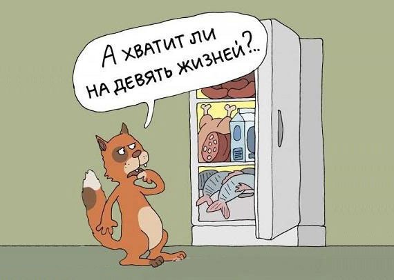 Ночью у холодильника карикатура