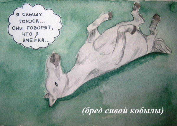 Бредовые поговорки