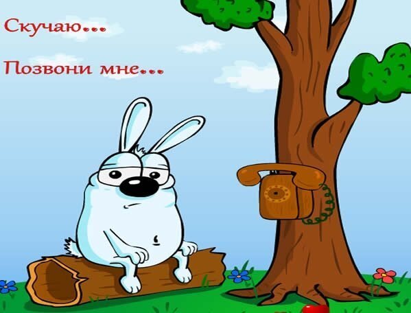 Шуточная картинка я скучаю