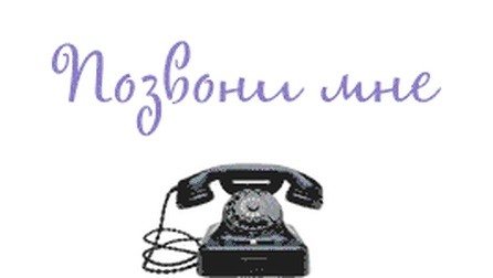 Кот ждет звонка