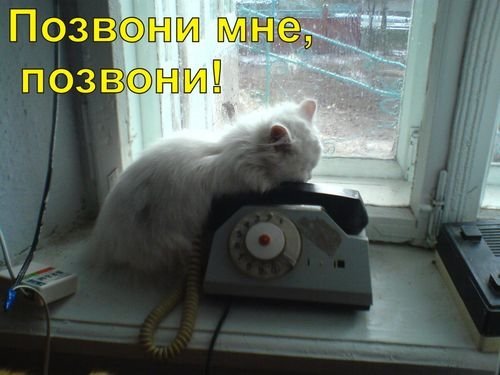 Позвони мне картинки