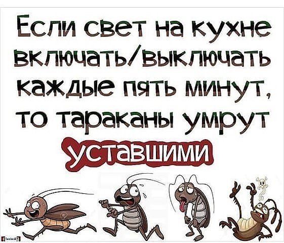 Открытки смерть тараканам