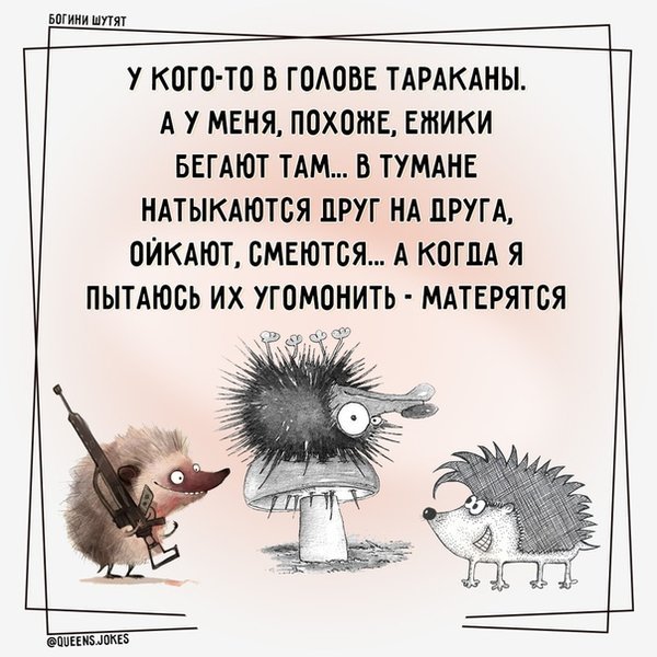 День пьяного ежика