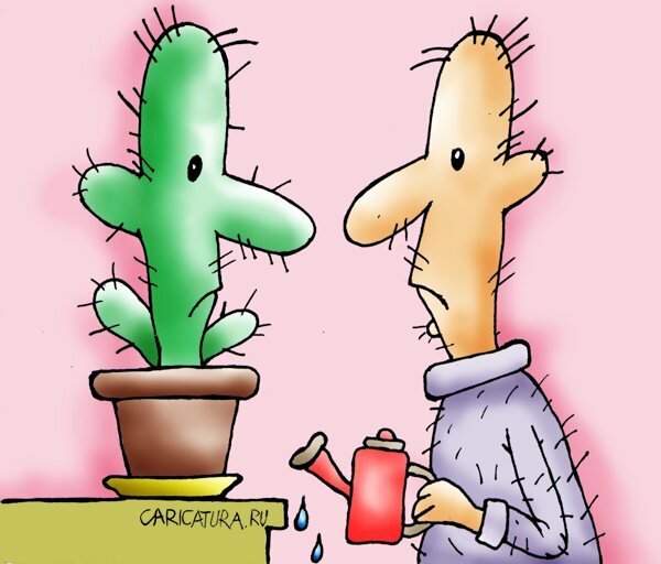 Кактус карикатура